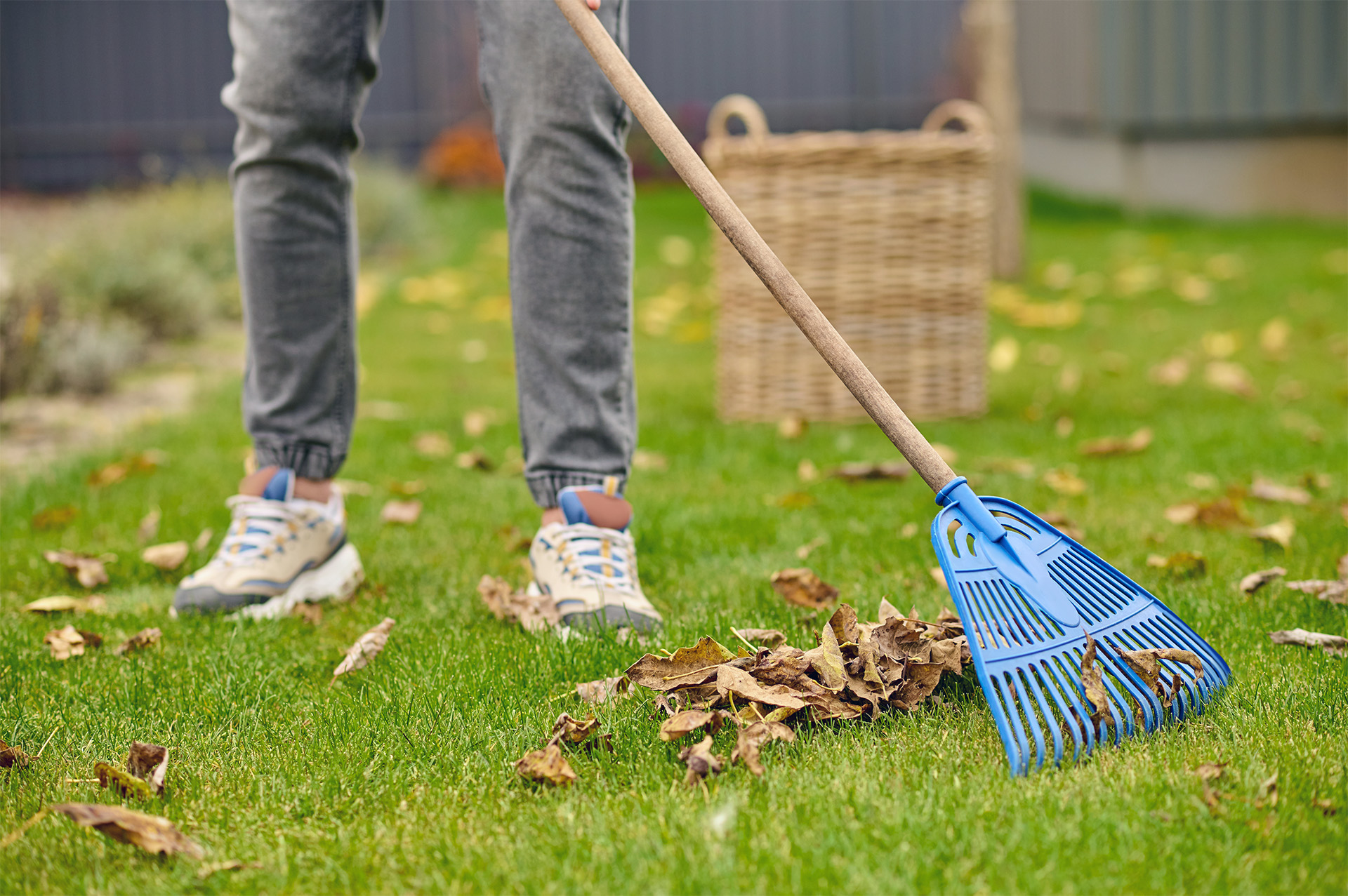 Entretien du jardin - nos astuces pour une pelouse éclatante - Jardin futé strasbourg